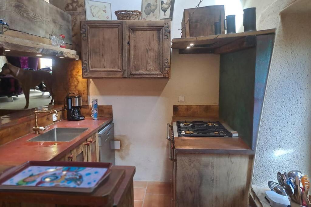 La Maisonnette D'Archiane Châtillon-en-Diois Екстериор снимка